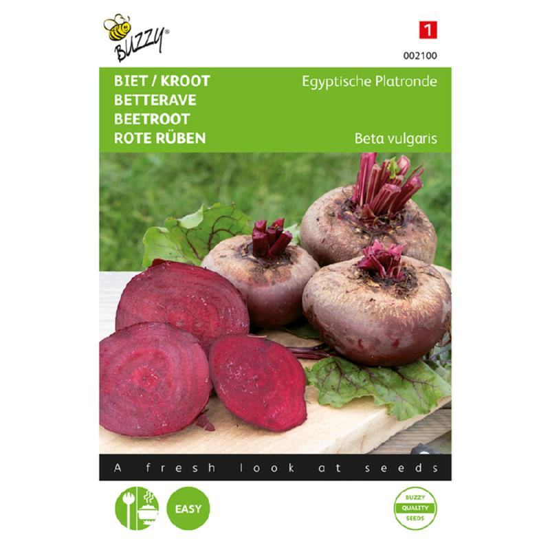 Egyptian Turnip Rooted Beetroot