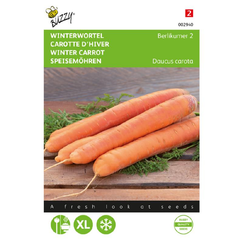 Berlikum Winter carrot